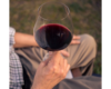 Discover Mallorca’s Wineries